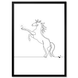 Plakat w ramie Koń w skoku - białe konie