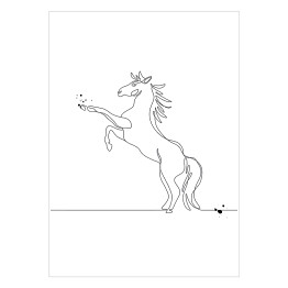 Plakat Koń w skoku - białe konie