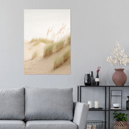 Plakat samoprzylepny Pejzaż boho. Wysokie trawy ozdobne na piaszczystej plaży