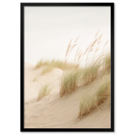 Obraz klasyczny Pejzaż boho. Wysokie trawy ozdobne na piaszczystej plaży