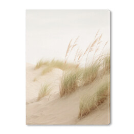 Obraz na płótnie Pejzaż boho. Wysokie trawy ozdobne na piaszczystej plaży