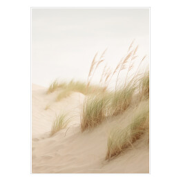 Plakat Pejzaż boho. Wysokie trawy ozdobne na piaszczystej plaży