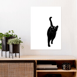 Plakat samoprzylepny Kot wpatrujący się w jeden punkt