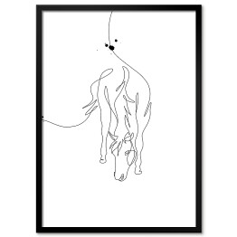 Plakat w ramie Zarys konia - białe konie