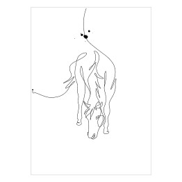 Plakat Zarys konia - białe konie