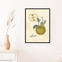 Plakat w ramie Ilustracja - jabłko