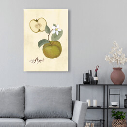Ilustracja - jabłko
