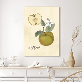 Obraz klasyczny Ilustracja - jabłko