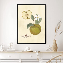 Obraz w ramie Ilustracja - jabłko