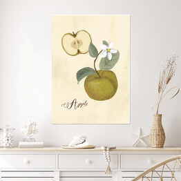 Plakat Ilustracja - jabłko