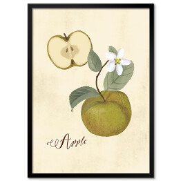 Plakat w ramie Ilustracja - jabłko