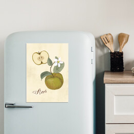 Magnes dekoracyjny Ilustracja - jabłko