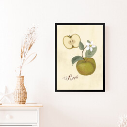 Obraz w ramie Ilustracja - jabłko