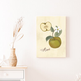 Obraz klasyczny Ilustracja - jabłko