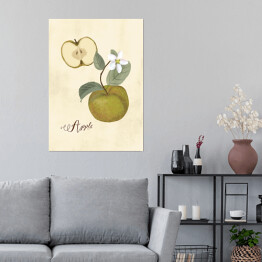 Plakat Ilustracja - jabłko