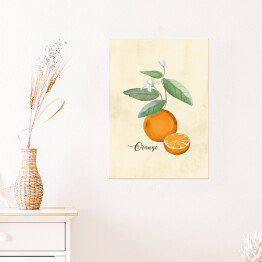 Plakat samoprzylepny Ilustracja - pomarańcze
