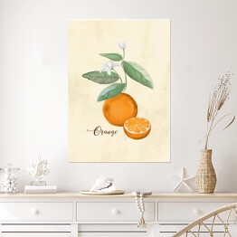 Plakat Ilustracja - pomarańcze