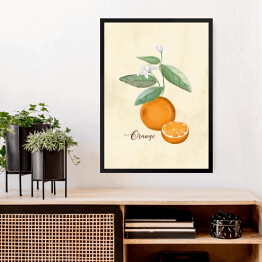 Obraz w ramie Ilustracja - pomarańcze