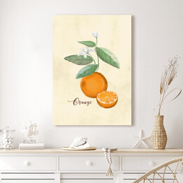 Obraz na płótnie Ilustracja - pomarańcze