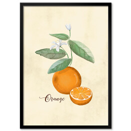 Obraz klasyczny Ilustracja - pomarańcze