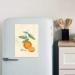 Magnes dekoracyjny Ilustracja - pomarańcze