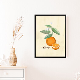 Obraz w ramie Ilustracja - pomarańcze