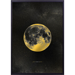 Złoty plakat Jasna strona księżyca