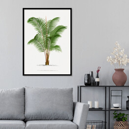 Plakat w ramie Roślinność drzewo palmowe w stylu vintage reprodukcja