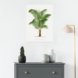 Plakat samoprzylepny Roślinność drzewo palmowe w stylu vintage reprodukcja