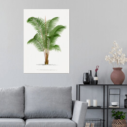 Plakat Roślinność drzewo palmowe w stylu vintage reprodukcja