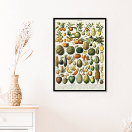 Plakat w ramie Warzywa i owoce w stylu vintage