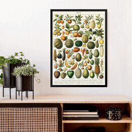 Obraz w ramie Warzywa i owoce w stylu vintage