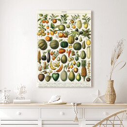 Obraz na płótnie Warzywa i owoce w stylu vintage