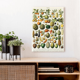 Obraz na płótnie Warzywa i owoce w stylu vintage
