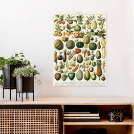 Plakat Warzywa i owoce w stylu vintage