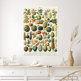 Plakat Warzywa i owoce w stylu vintage