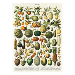 Plakat samoprzylepny Warzywa i owoce w stylu vintage