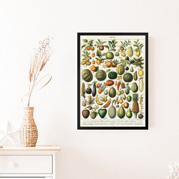 Obraz w ramie Warzywa i owoce w stylu vintage