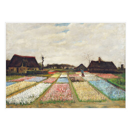 Plakat Vincent van Gogh Klomby w Holandii. Reprodukcja