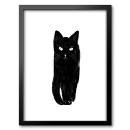 Obraz w ramie Zbliżający się czarny kot