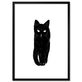 Plakat w ramie Zbliżający się czarny kot