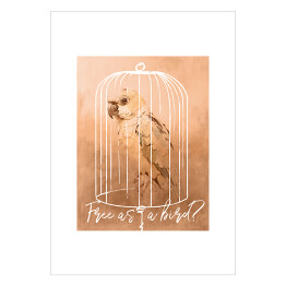 Plakat samoprzylepny Free as a bird 