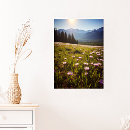 Plakat Góry i polana z kwiatami krajobraz