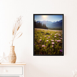 Obraz w ramie Góry i polana z kwiatami krajobraz