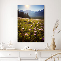 Obraz klasyczny Góry i polana z kwiatami krajobraz