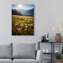 Obraz na płótnie Góry i polana z kwiatami krajobraz