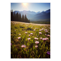 Plakat samoprzylepny Góry i polana z kwiatami krajobraz