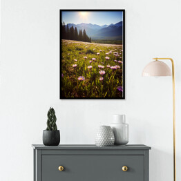 Plakat w ramie Góry i polana z kwiatami krajobraz