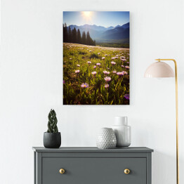 Obraz na płótnie Góry i polana z kwiatami krajobraz