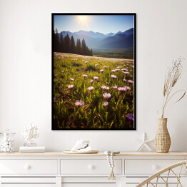 Plakat w ramie Góry i polana z kwiatami krajobraz